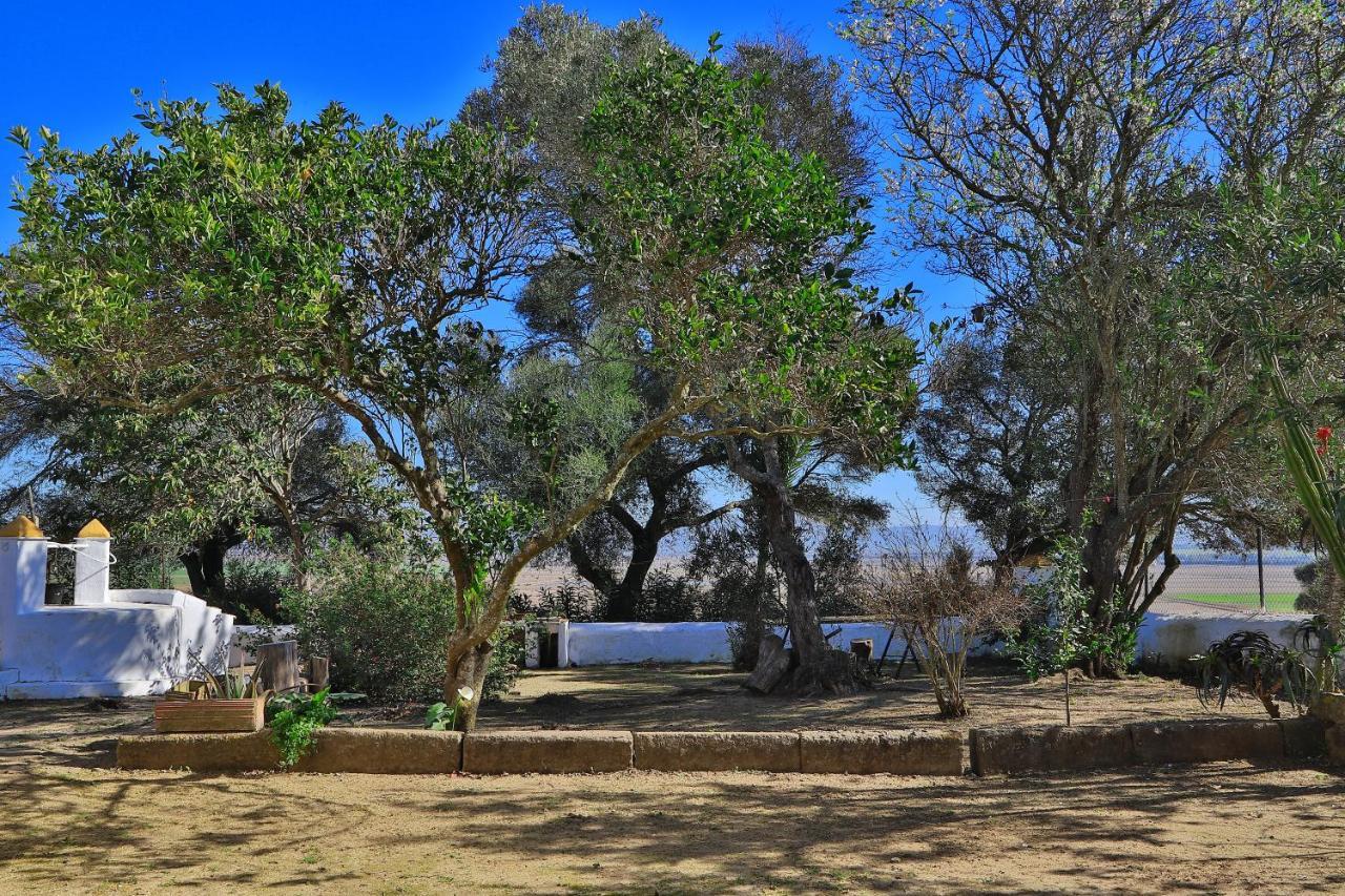 Casa Rural Finca Los Hierros 贝赫尔-德拉弗龙特拉 外观 照片