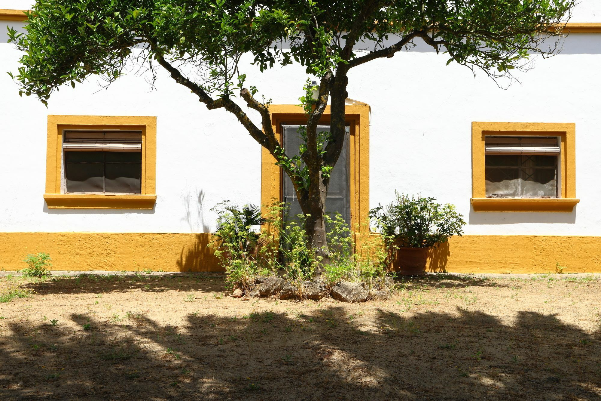 Casa Rural Finca Los Hierros 贝赫尔-德拉弗龙特拉 外观 照片